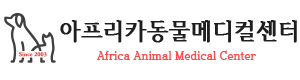 상단로고