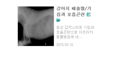 진료케이스