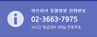 전화문의