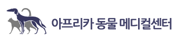 상단로고