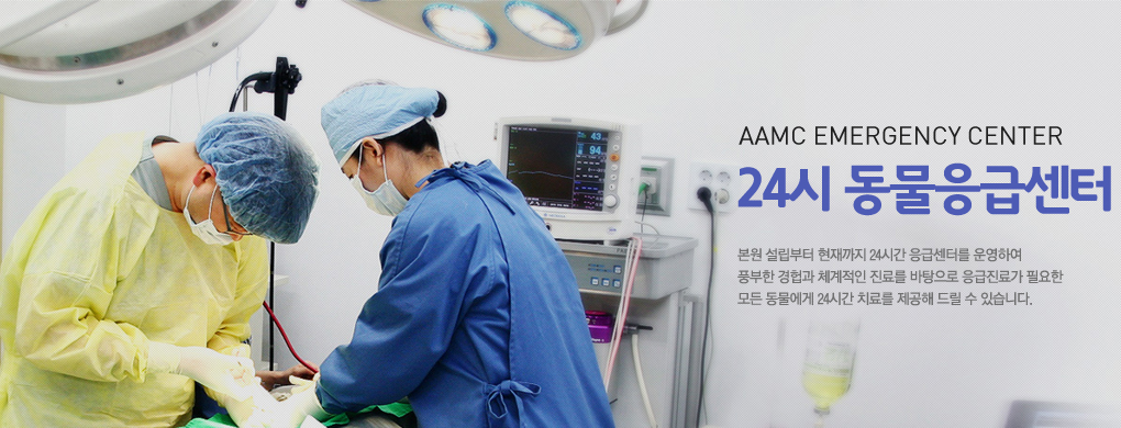 24시 동물 응급센터