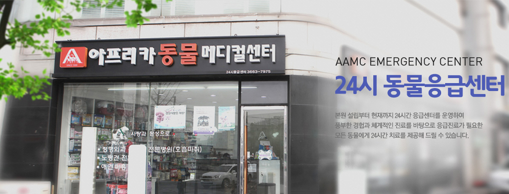 24시 동물 응급센터