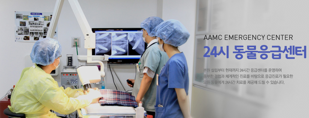 24시 동물 응급센터